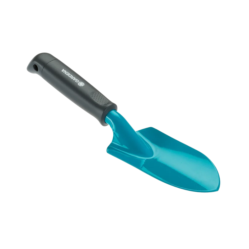 Palita Ancha